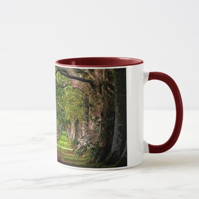 Mug Une promenade en parc, bâti Edgcumbe (Droite)