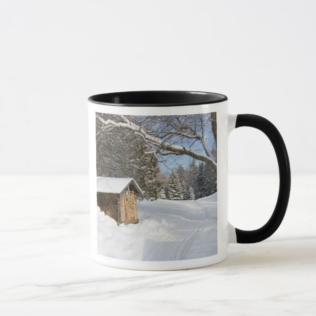 Mug Une scène enneigée à l'étang Little Lyford de l'AM (Droite)