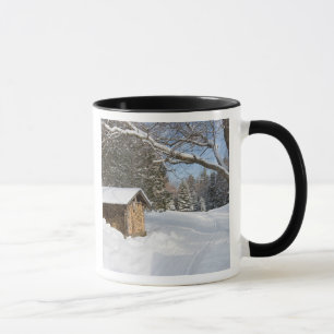 Mug Une scène neigeuse au peu d'étang de Lyford d'AM