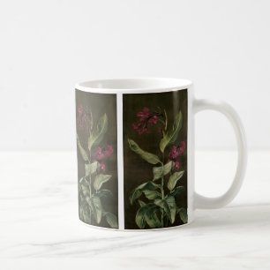 Mug Une variété de jardin de Canna indica par Marianne