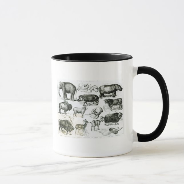Mug Ungulata ou animaux à sabots (Droite)