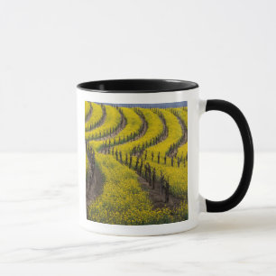 Mug USA, Californie, Napa Valley, Los Carneros Ava.