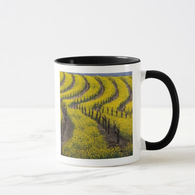 Mug USA, Californie, Napa Valley, Los Carneros Ava. (Droite)