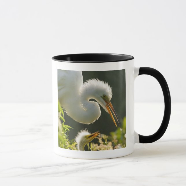 Mug USA, Floride, St Augustine, Alligator farm (Droite)