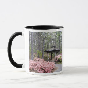 Mug USA, Géorgie, Pine Mountain. Un kiosque parmi