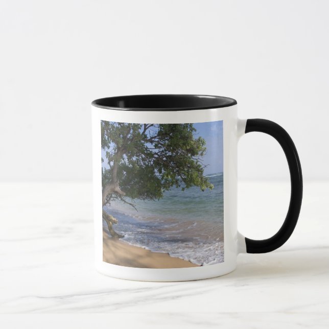 Mug USA, Hawaï, Kauai, plage pittoresque. RF) (Droite)