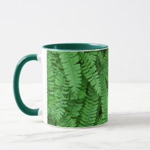 Mug USA, Oregon, Silverton. Fermes de Maidenhair