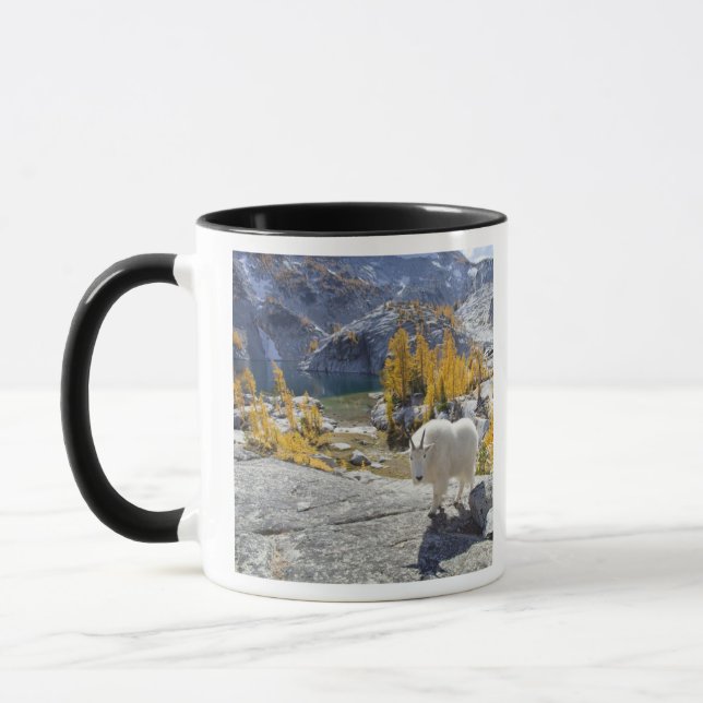 Mug USA, WA, Alpine Lakes WI-lderness Enchantments. (Gauche)
