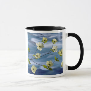 Mug USA, Washington, Hood Canal. Poulet du Pacifique