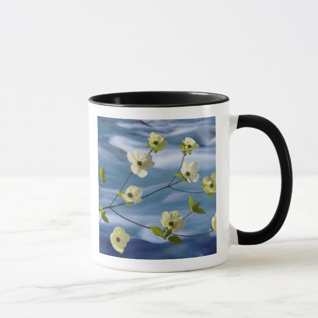 Mug USA, Washington, Hood Canal. Poulet du Pacifique (Droite)