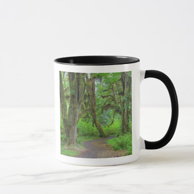 Mug USA, Washington, Olympic National Park, Hoh (Droite)