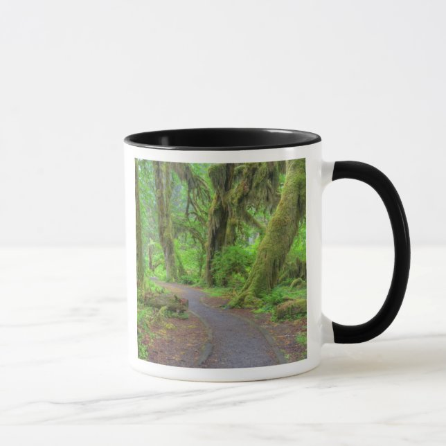 Mug USA, Washington, Olympic National Park, Hoh Rain (Droite)