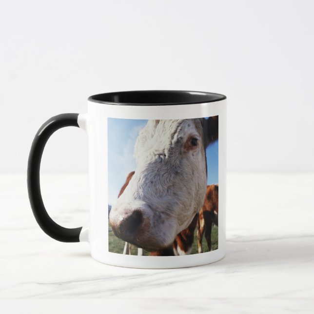 Mug Vache dans le domaine, plan rapproché (Gauche)
