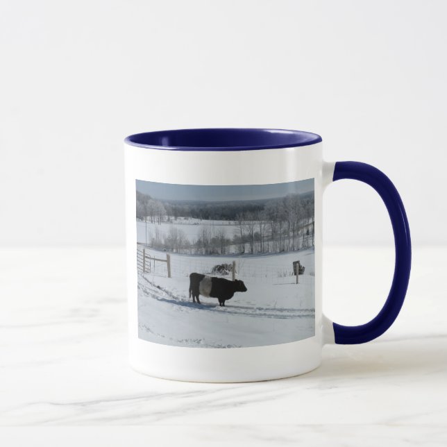 Mug Vache de galloway ceinturée dans un magnifique pay (Droite)