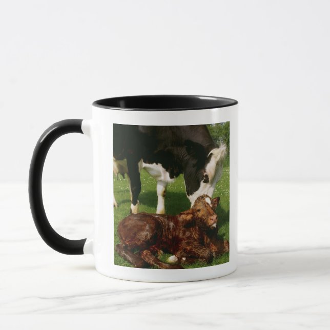 Mug Vache et veau nouveau-né (Gauche)