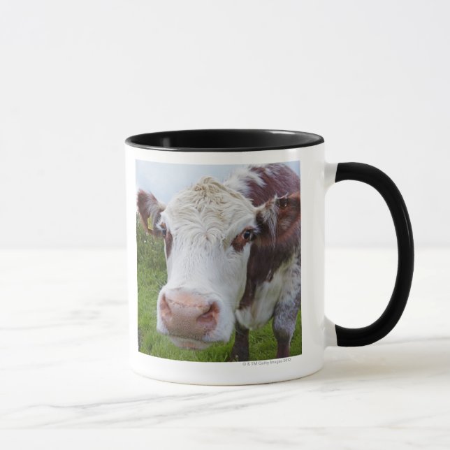 Mug Vache simple peerring dans l'appareil-photo (Droite)