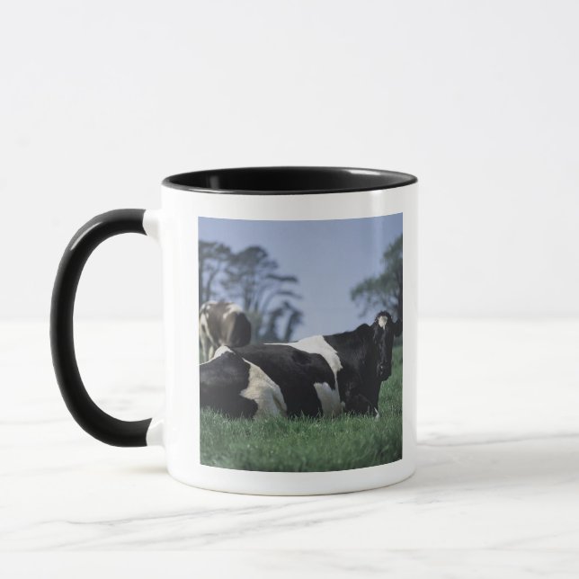 Mug vaches dans un pâturage (Gauche)