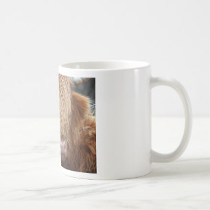 Mug Vaches des montagnes écossaises - Ecosse