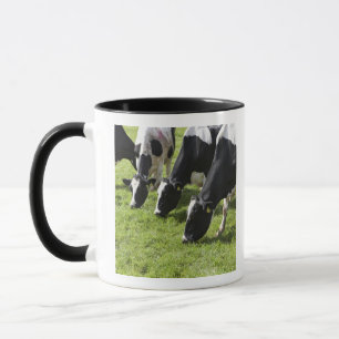 Mug Vaches laitières frôlant dans le pâturage