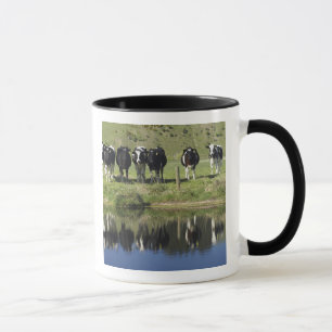 Mug Vaches reflétées dans le canal, Henley, plaine de
