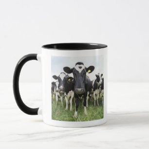 Mug Vaches se tenant dans une rangée regardant