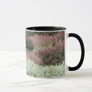 Mug Variété de bruyères