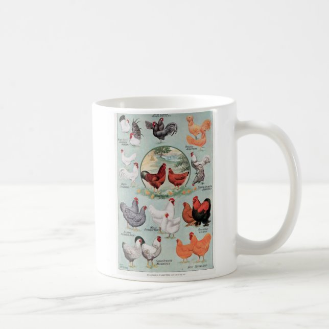 Mug Variétés standard de poulet (Droite)