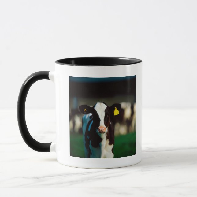 Mug Veau de frison du Holstein (Gauche)