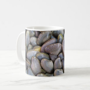 Mug Venus Clam [ห อ ย ล า ย]