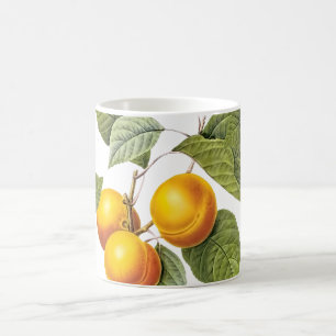 Mug Verger PixDezines/Pêches/Redoute