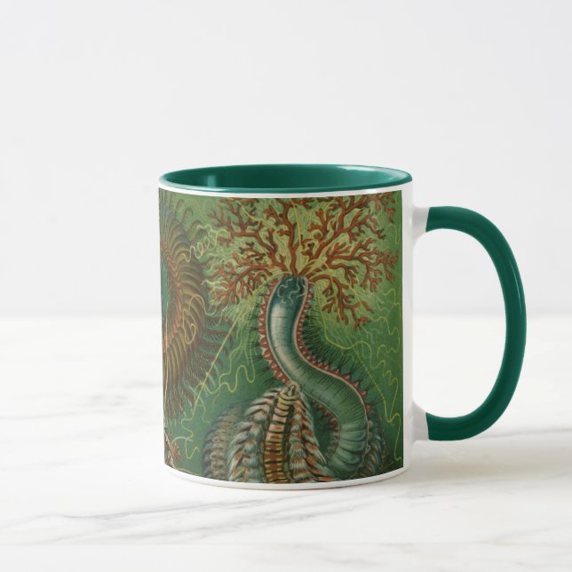 Mug Vers anciens Annélides Chétopodes par Ernst Haecke (Droite)
