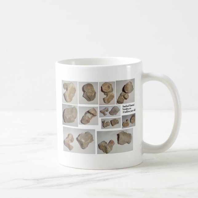 MUG VERTÈBRE MAMMIFÈRE FOSSILISÉE (Droite)