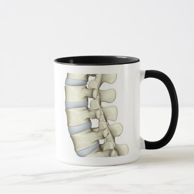 Mug Vertèbres lombaires (Droite)