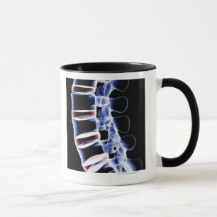 Mug Vertèbres lombaires 2