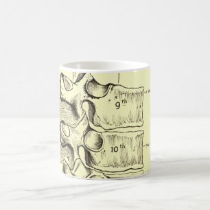 Mug Vertèbres vintages de l'anatomie  