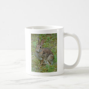 Mug Vêtements et Cadeaux de Lapin de Garenne Oriental