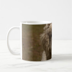 MUG VIENNA WIEN ÖSTERREICH AUTRICHE ALPAKA LAMA ANIMAL