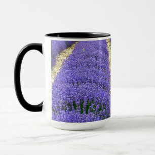 Mug View of lavender fields in the Drôme provencale