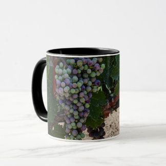 Mug Vignoble chilien