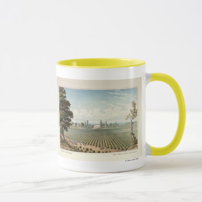 Mug Vignoble d'EL Pinal, le comté de San Joaquin (Droite)