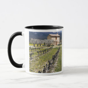 Mug Vignoble en dormance, fleurs de fruit, maison en p