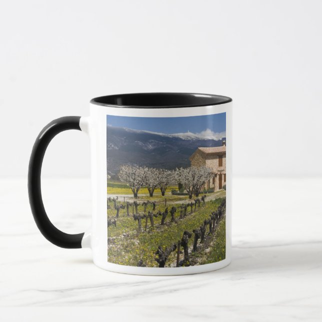 Mug Vignoble en sommeil, fleurs de fruits, maison en p (Gauche)
