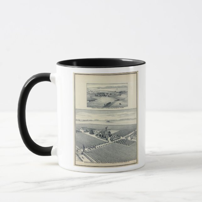 Mug Vignoble Estella Blanca, Californie (Gauche)