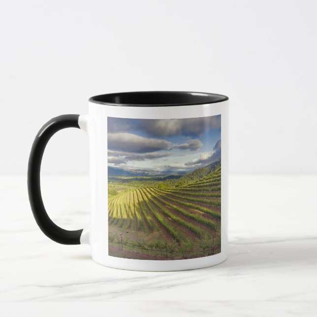 Mug Vignoble. Vallée de Napa. Napa. Comté de Napa, (Gauche)