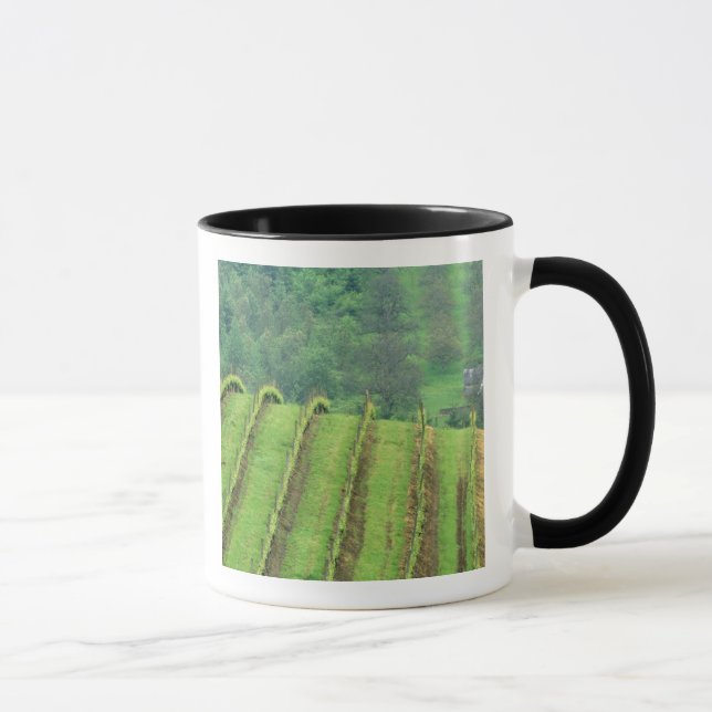 Mug Vignobles de raisin près de Newberg Oregon (Droite)