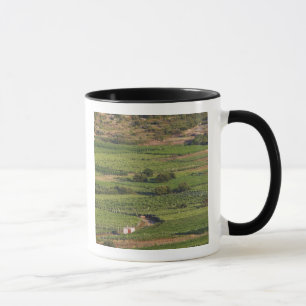 Mug vignobles de Smokvica sur Korcula depuis la Toreta