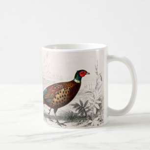 Mug vintage de faisan illustré