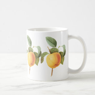 Mug Vintage Fruit Food, Calville Apple par Redoute