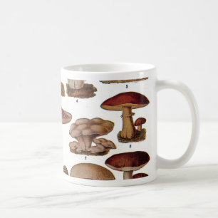Mug Vintage Mushroom Family Botanique Imprimer