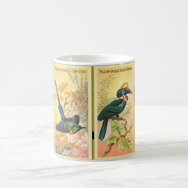 Mug Vintage Quatre Oiseaux Tropicaux En Une Illustrati (Centre)